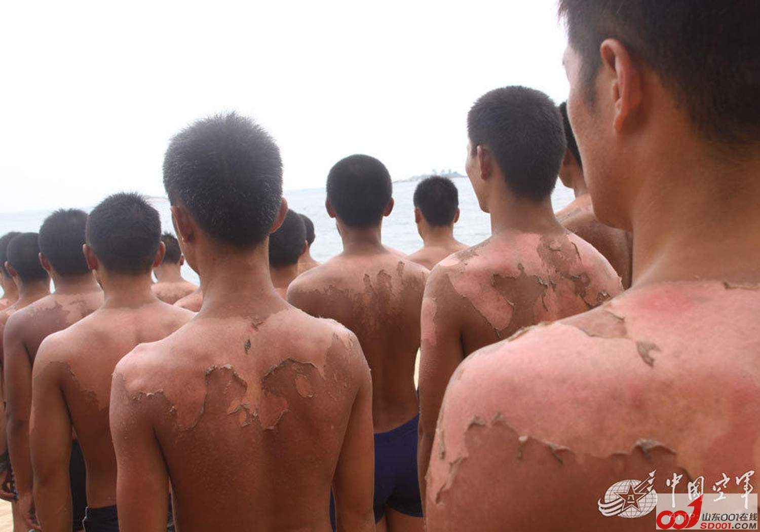 �Ƽ̹⾫�������� - ��վ - 8535462_980x1200_0.jpg