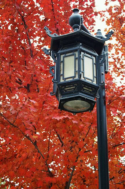 ����˵������ļ�����ʫ - ˴�� - cd1dd9f9d72a6059eba4359a2e34349b023bba89.jpg