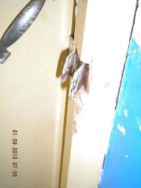 �쵼��͵�����Ǯ��������û����