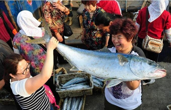 ɽ����̨��������ǰ���һ�� - ˴�� - QQ��ͼ20160531154703.jpg