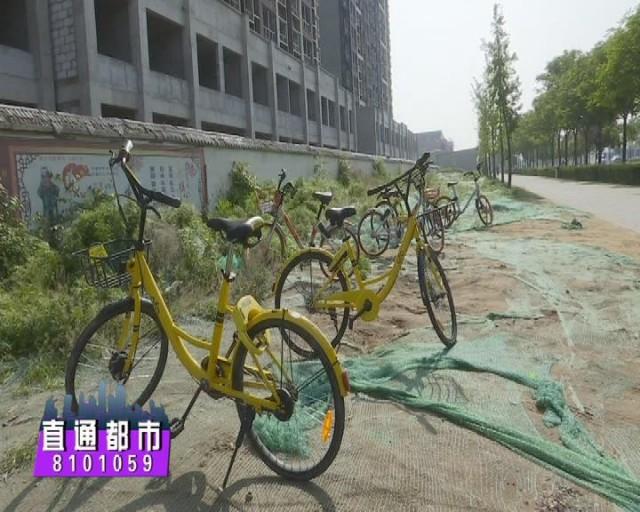 �������������ƻ� ���������������-1.jpg