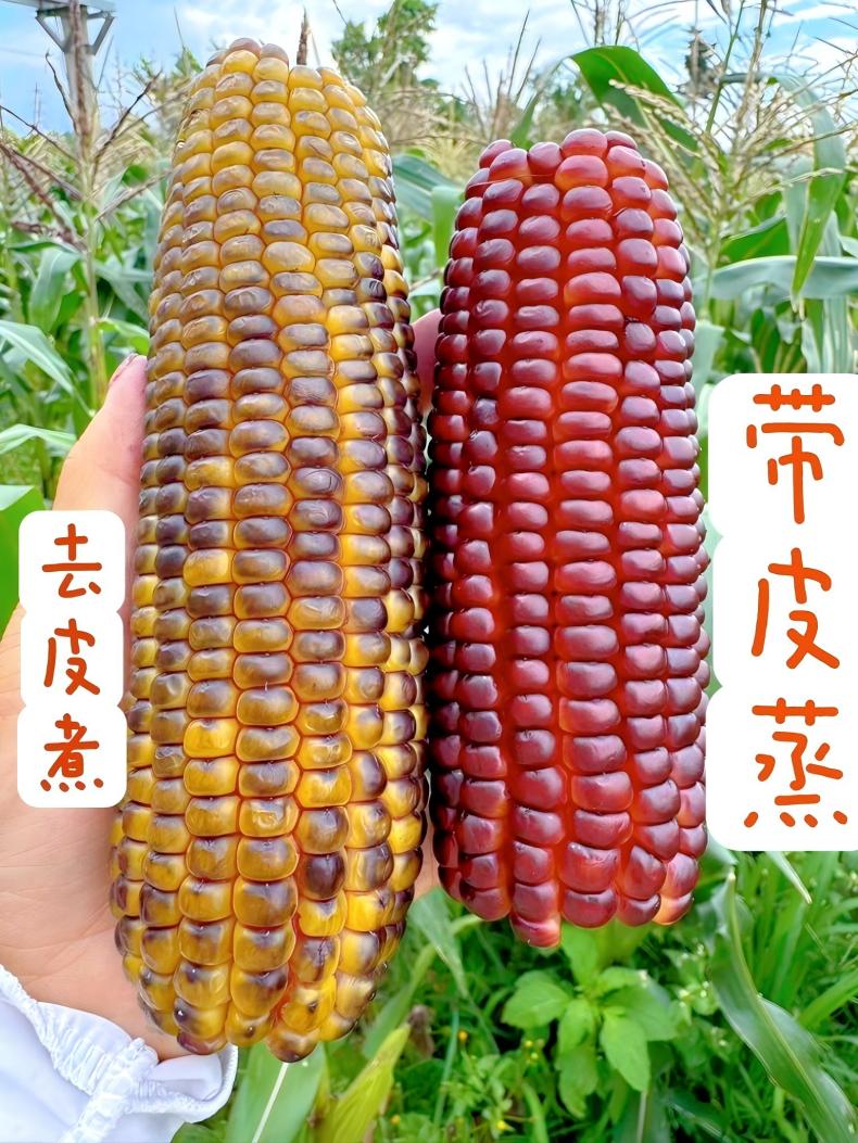 ͼƬ7.jpg