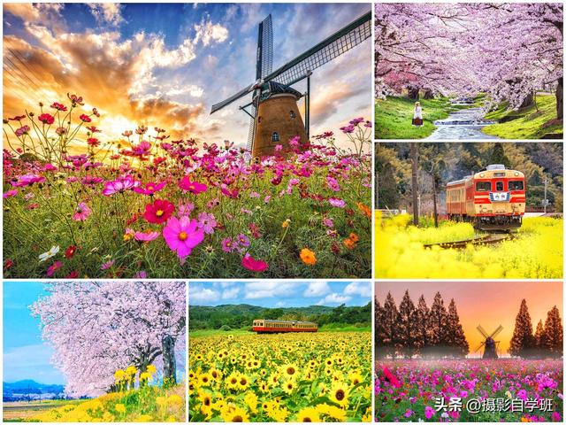 摄影记录春天，用5个春天摄影技巧，留下春天的美